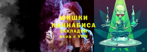 кокс Богородицк