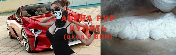 сатива Богданович