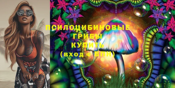 кокс Богородицк