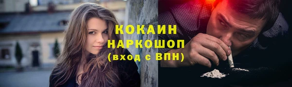 сатива Богданович