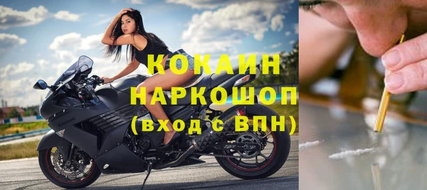 сатива Богданович