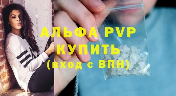 сатива Богданович