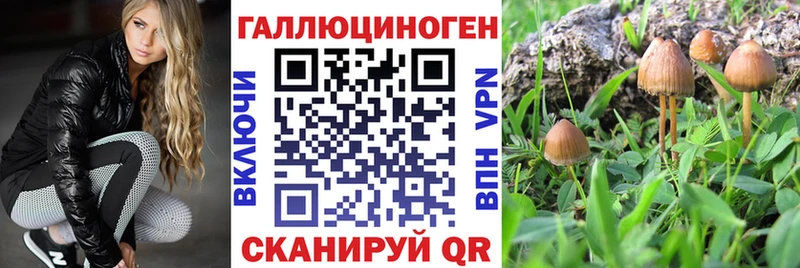 omg как войти  Норильск  Галлюциногенные грибы Magic Shrooms  сколько стоит 